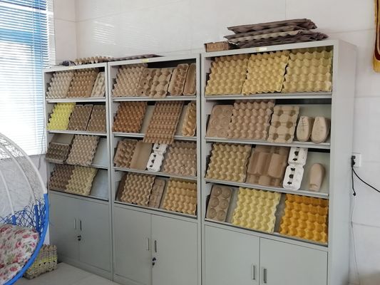 Neueste Maschine für Eierbehälter für nachhaltige Verpackungslösungen