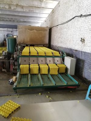 Neueste Maschine für Eierbehälter für nachhaltige Verpackungslösungen