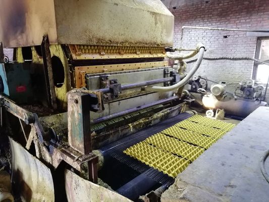 Neueste Maschine für Eierbehälter für nachhaltige Verpackungslösungen